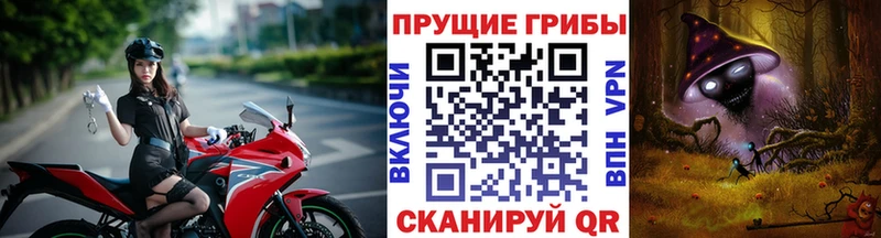 продажа наркотиков  Боровичи  Галлюциногенные грибы Psilocybine cubensis 